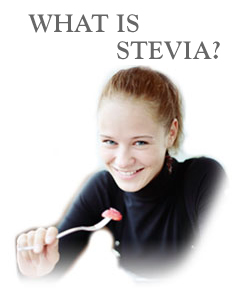 About Stevia